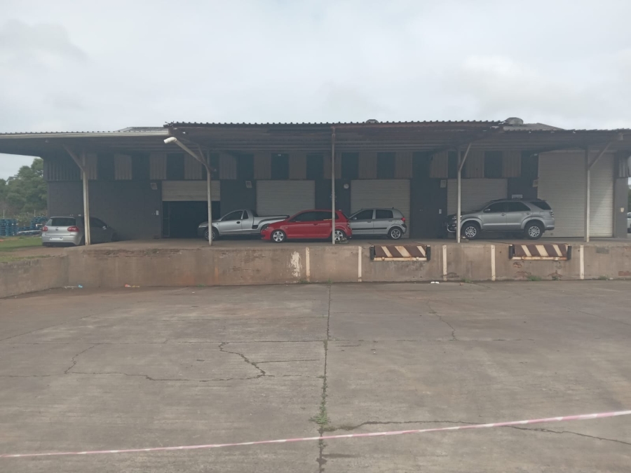 To Let Commercial Property for Rent in Wilsonia Eastern Cape